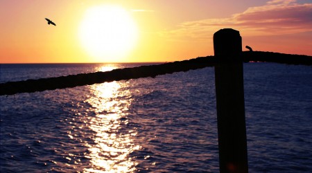 Chasing the sun
