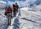To the top
