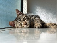 Relax ! Take it easy ! Relax ! Take it easy !