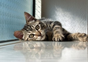 Relax ! Take it easy ! Relax ! Take it easy !