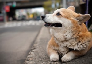 Still waiting. Where is he? Still waiting. Where is he?