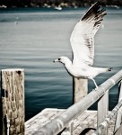 Take off to abroad i am leaving today!