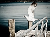 Take off to abroad i am leaving today! Take off to abroad i am leaving today!