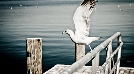 Take off to abroad i am leaving today!