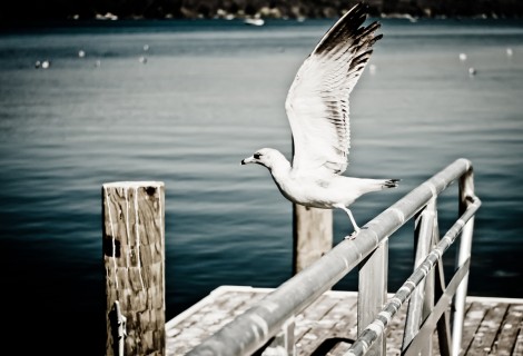 Take off to abroad i am leaving today!